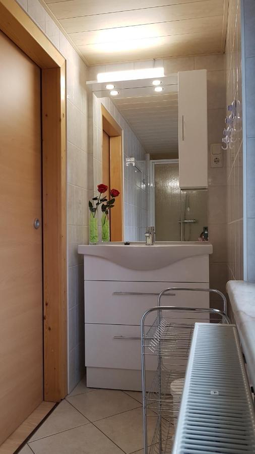 Ferienwohnung Berndt Schwarzatal ภายนอก รูปภาพ