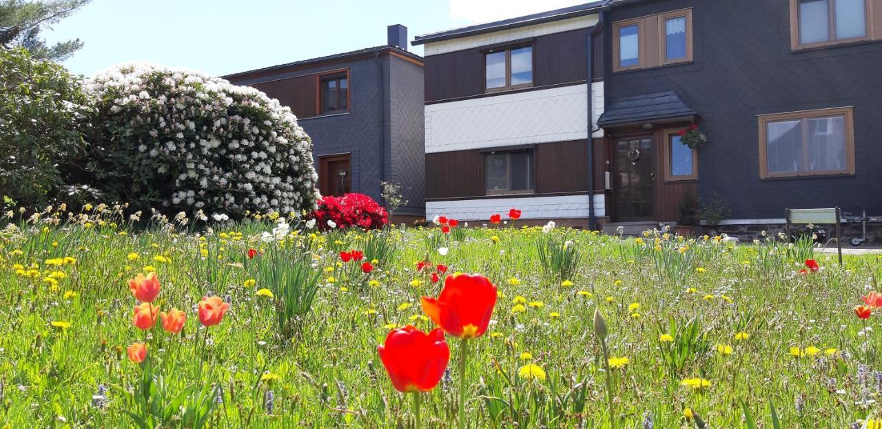 Ferienwohnung Berndt Schwarzatal ภายนอก รูปภาพ
